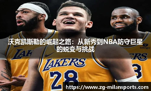 米兰体育官方网站入口